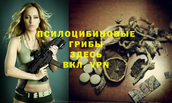 соль курить ск Алзамай