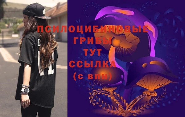 соль курить ск Алзамай